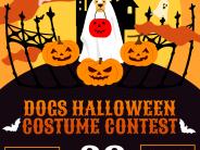 Dog Costume Contest Flyer