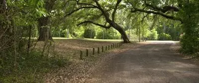 Lake Griffin State Park