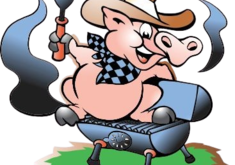 FPD Pig